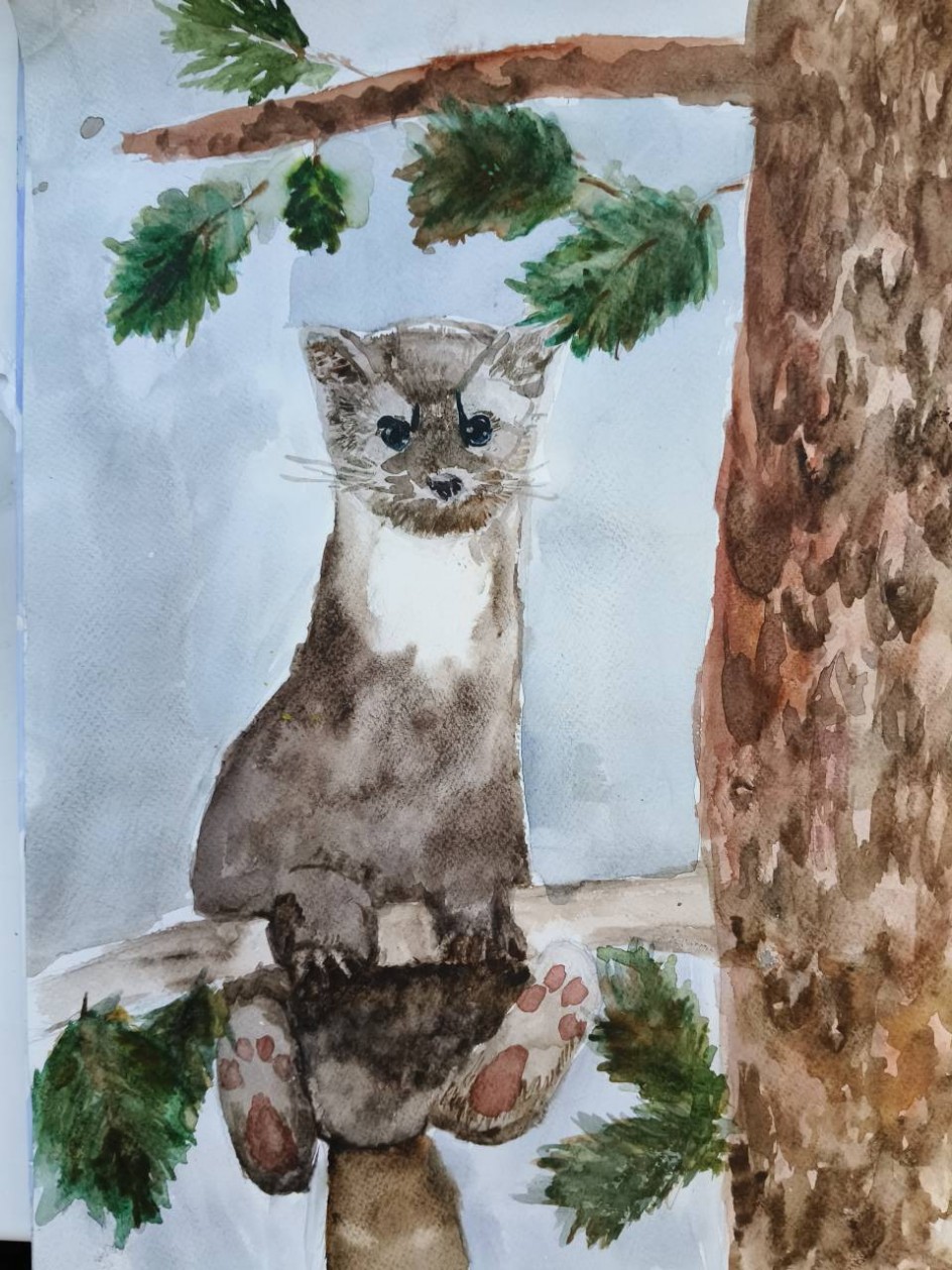 Зимний хищник