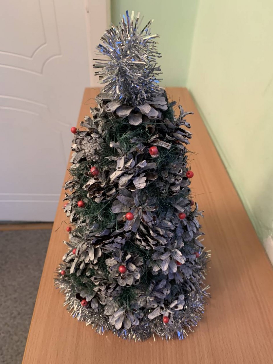 Сосновая ёлка