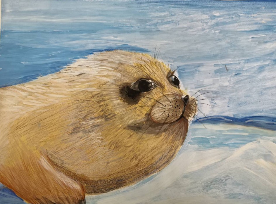 " Маленькая нерпа"