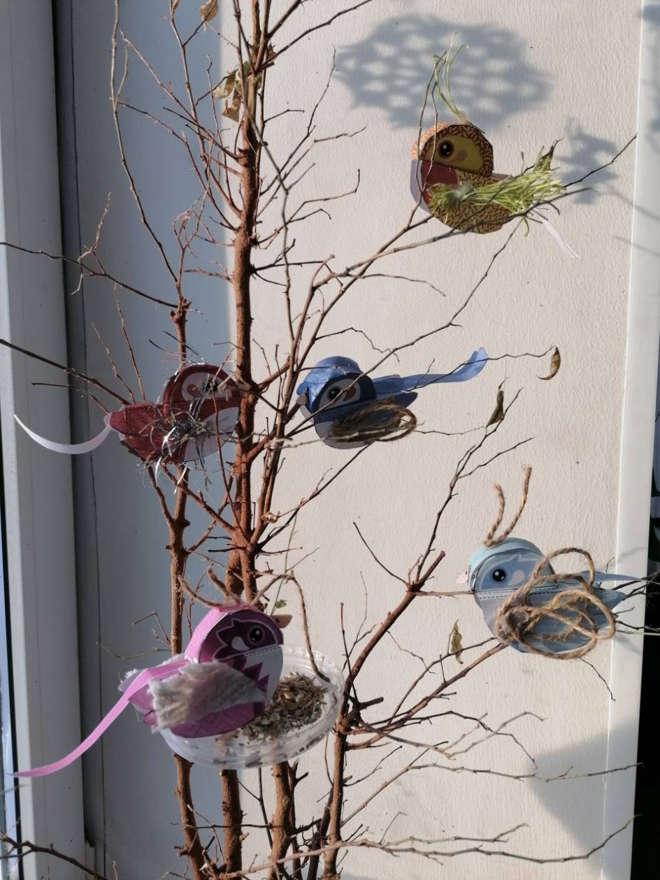 "Зимующие птицы"