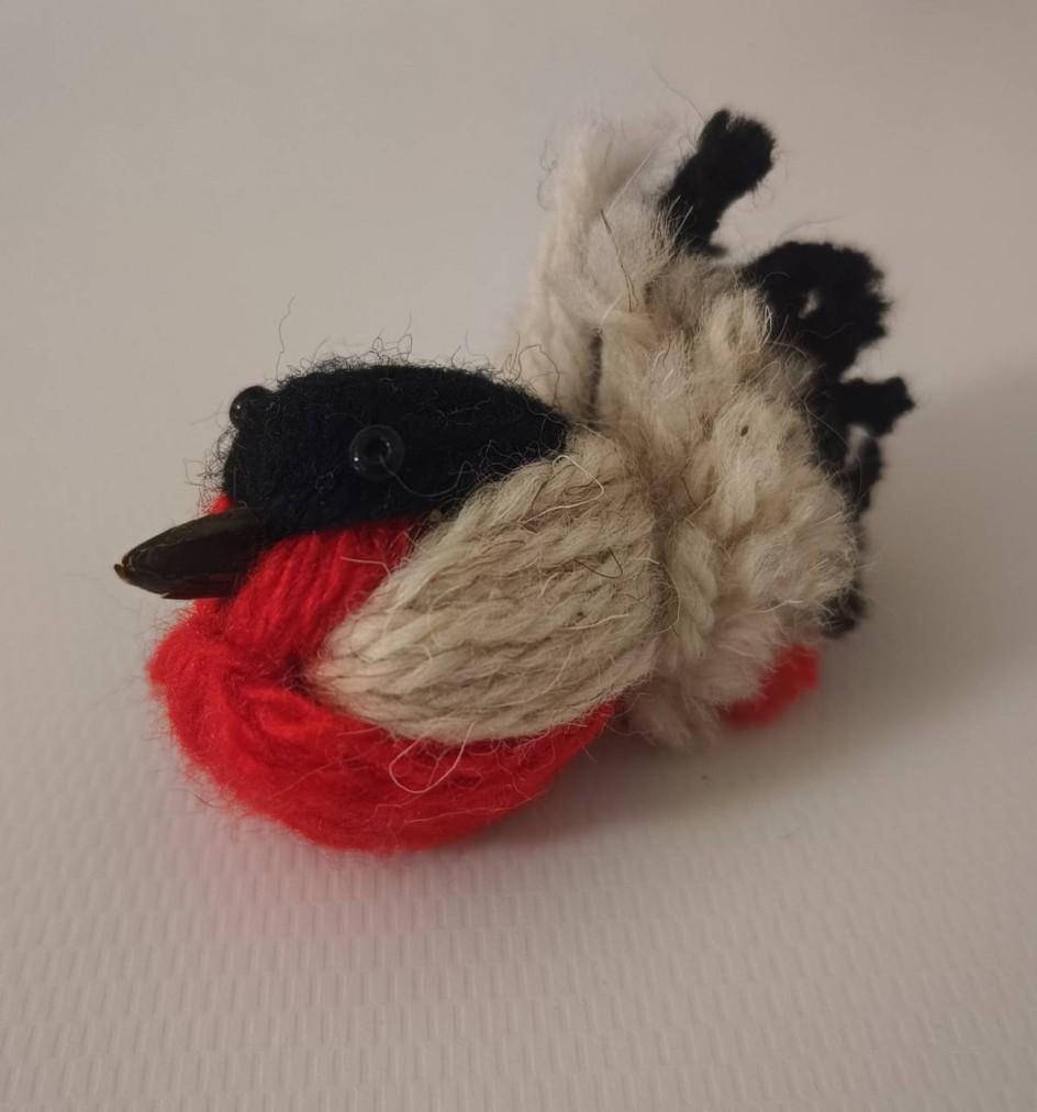 Зимний гость