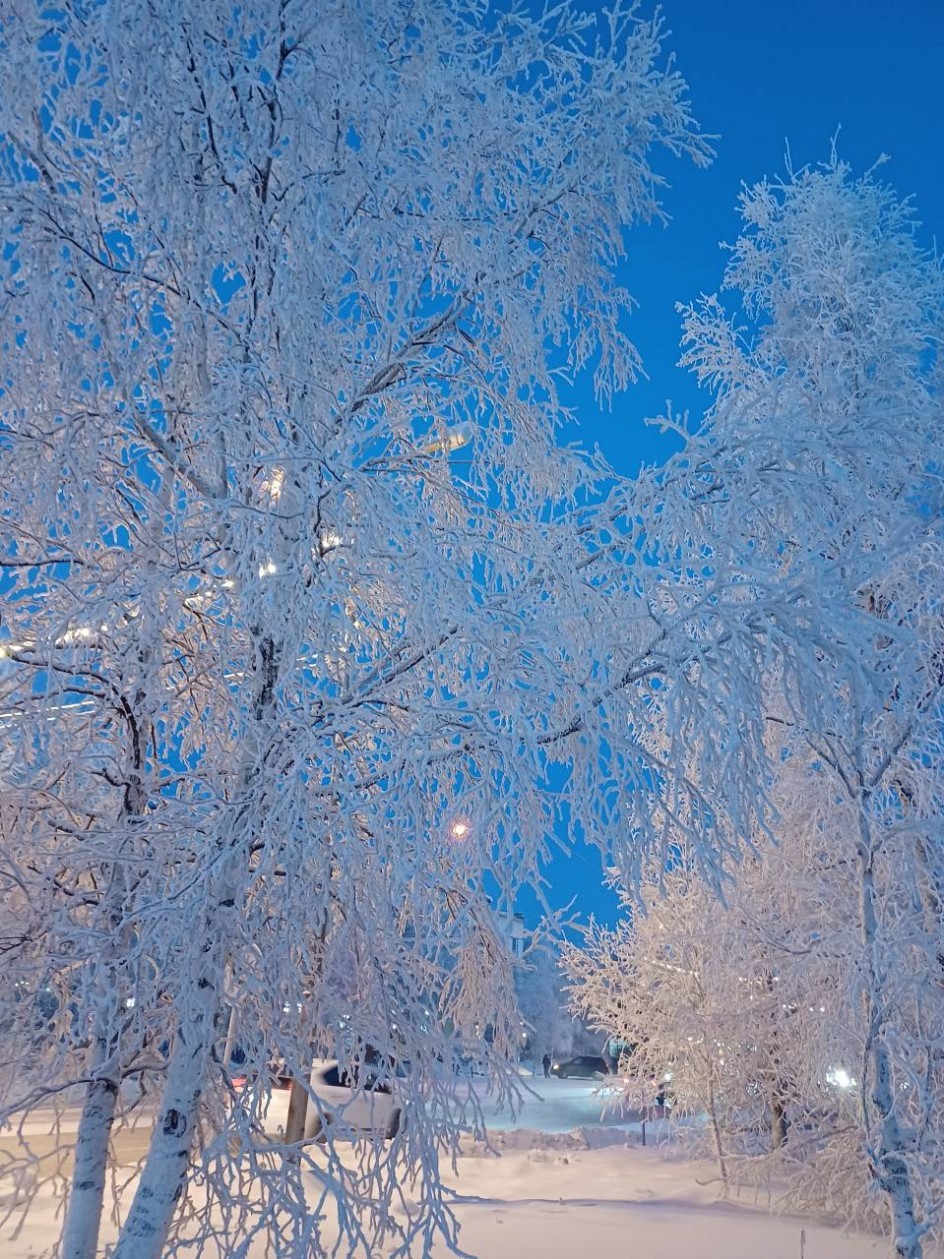 Зима в городе.