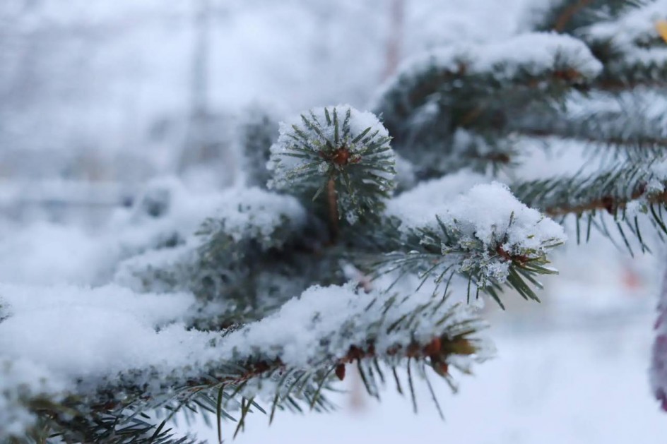 Зимние снежности