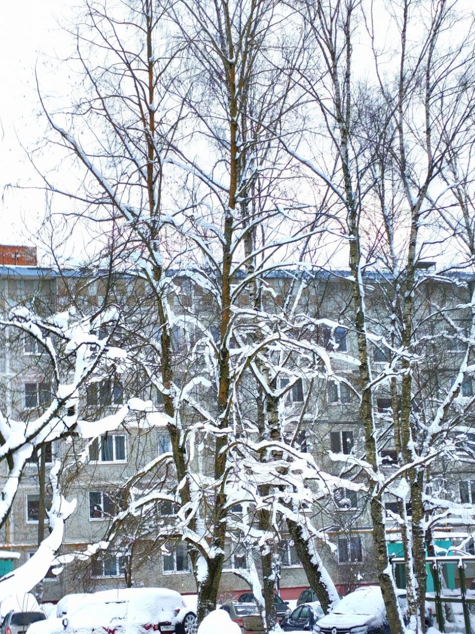 Зимний наряд