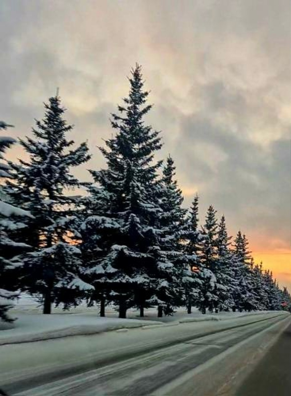 Зимняя сказка