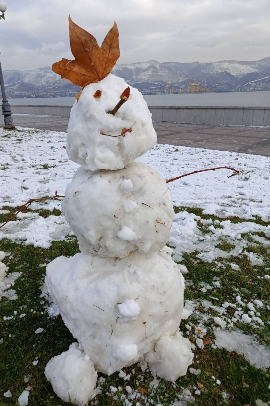 Мой снеговик и море