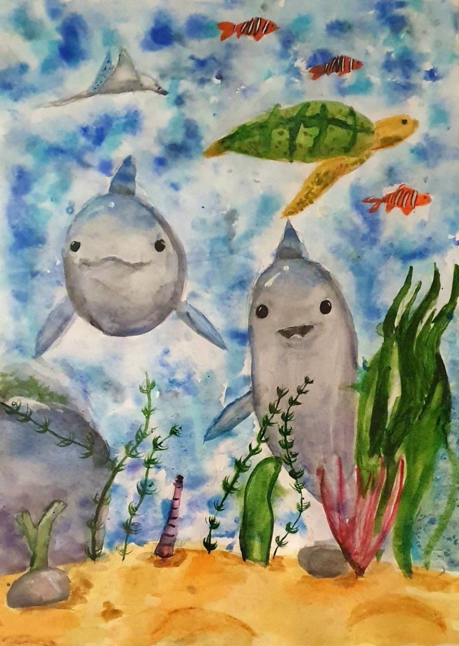 Встреча с дельфинами