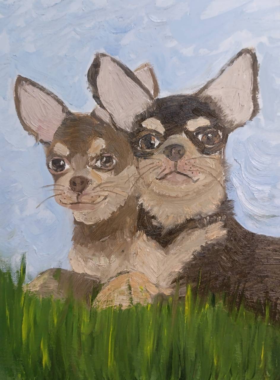 Мои питомцы