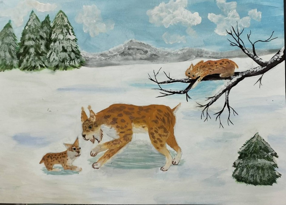 Семья рыси, первый снегопад
