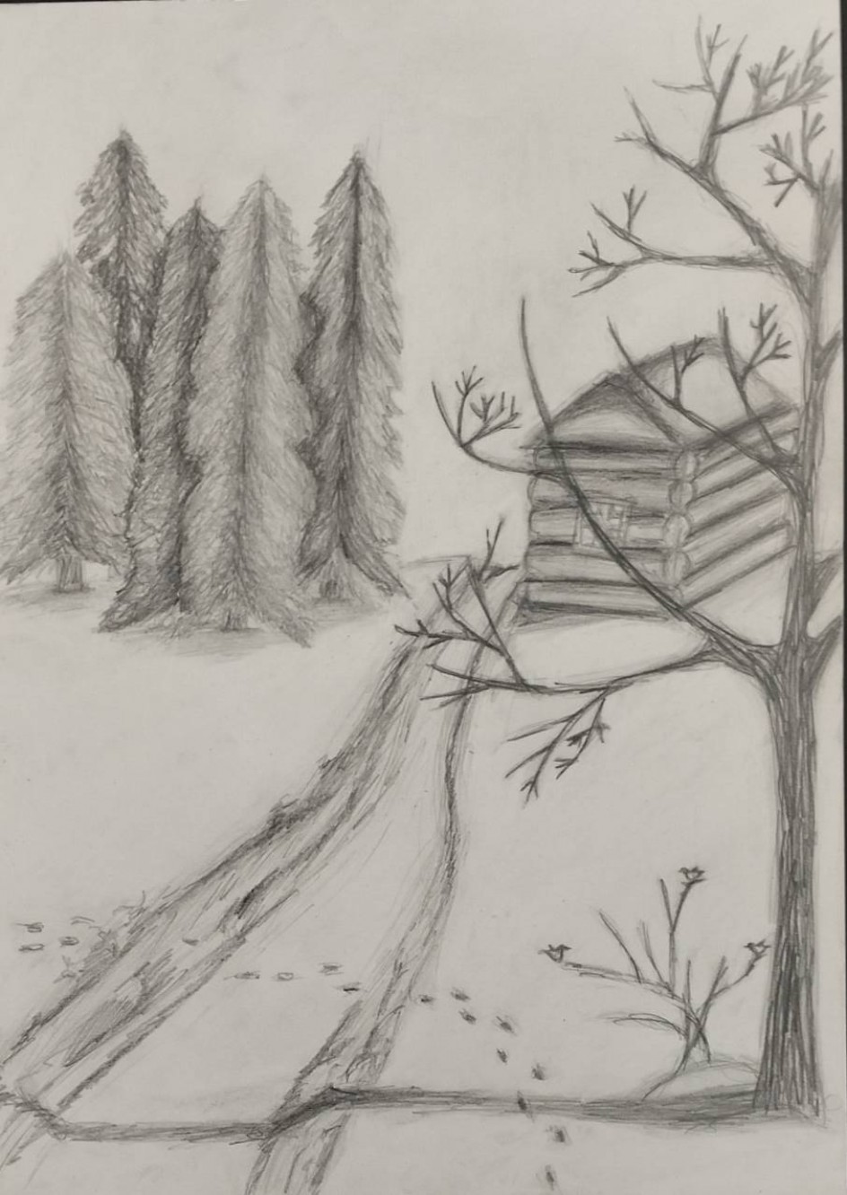 Снежная тропа