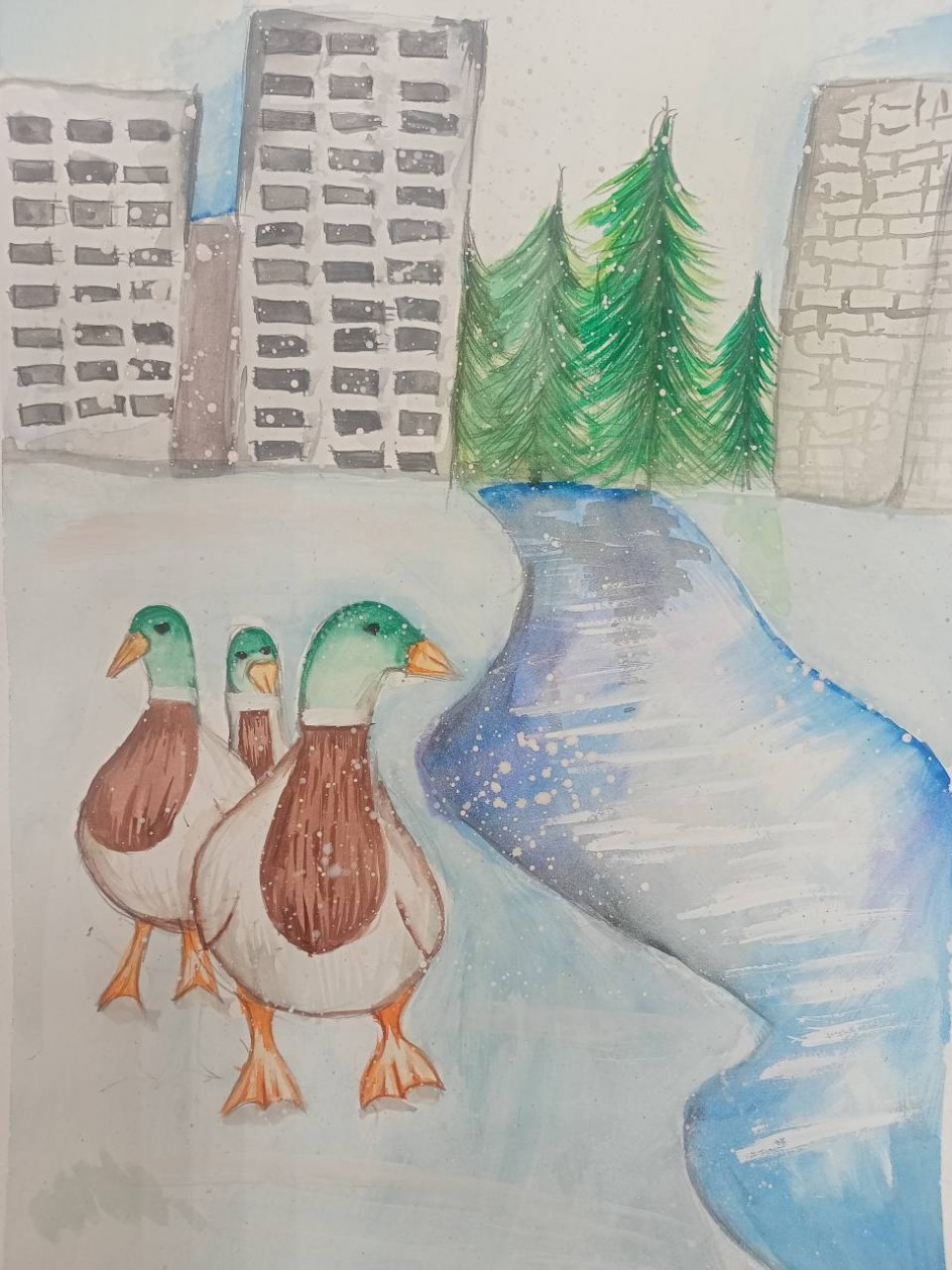 Городские селезни на прогулке.