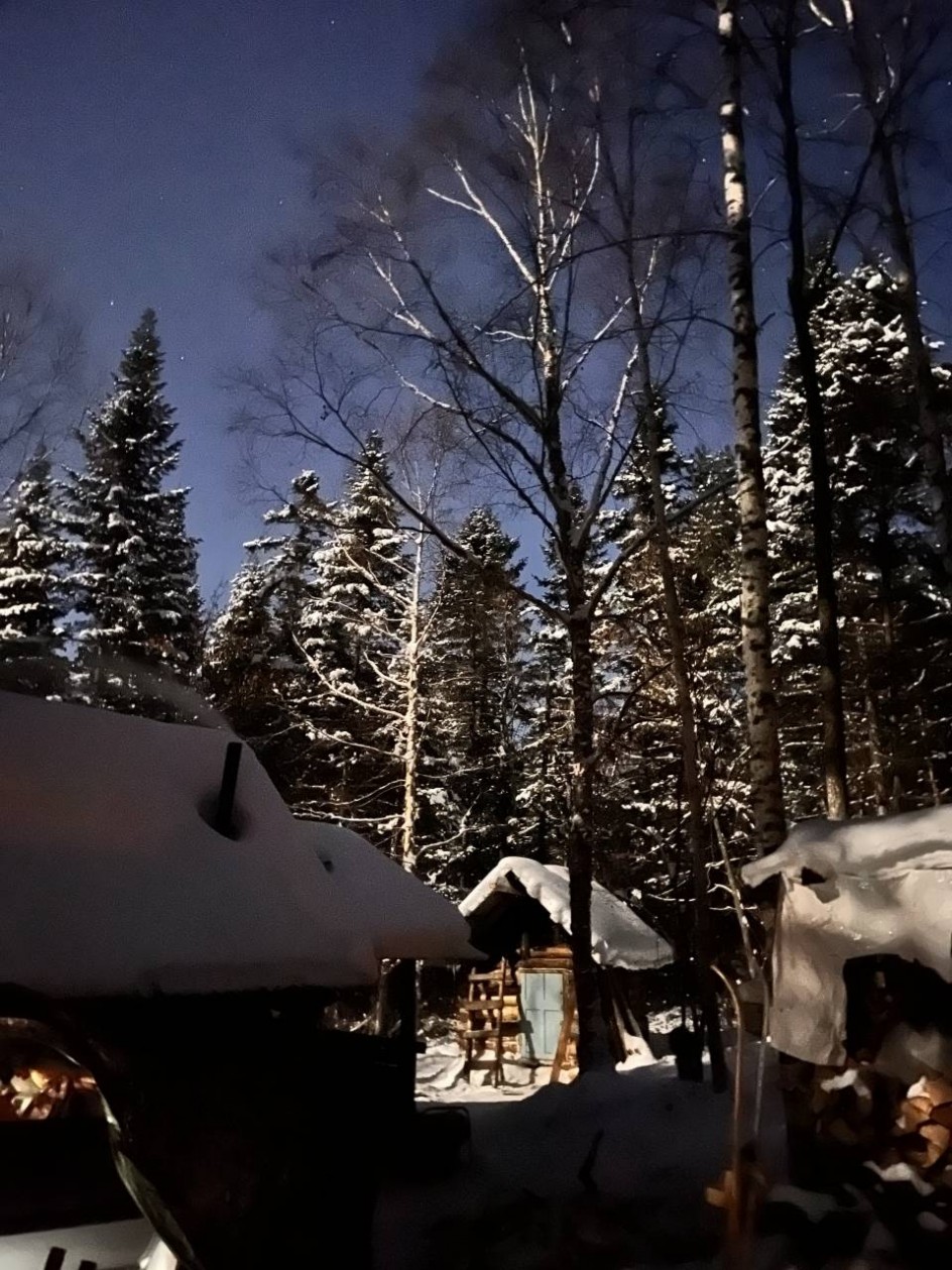 "Зимняя сказка в лесу"