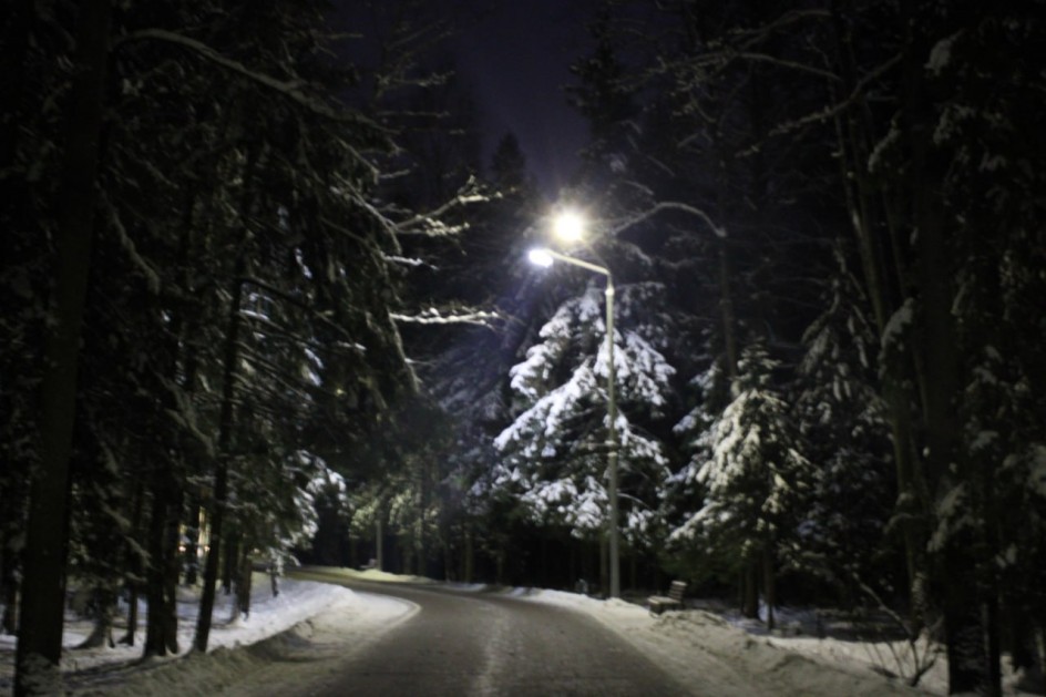 Дорога в сказку