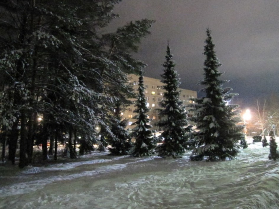 Ночная Дубна