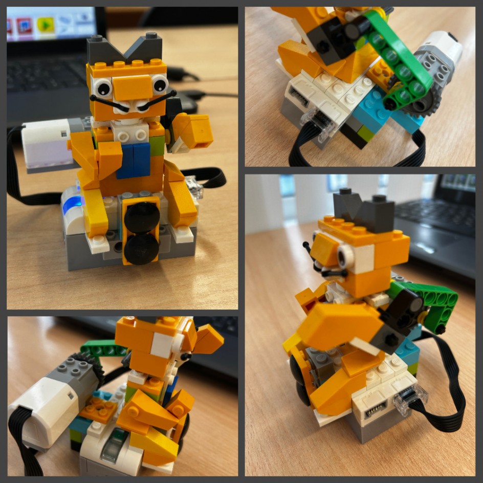 котик просит еду