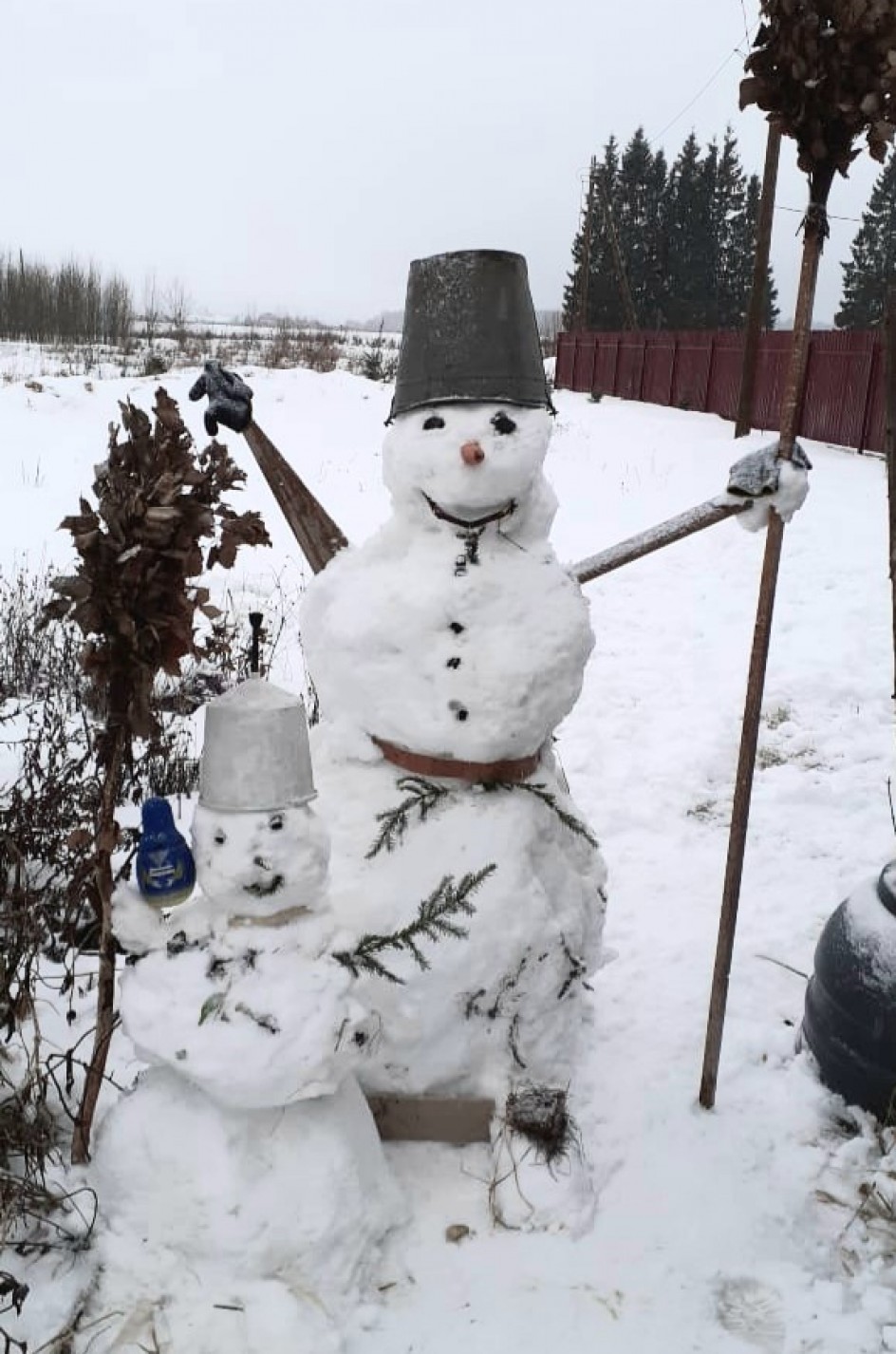 Весёлая компания