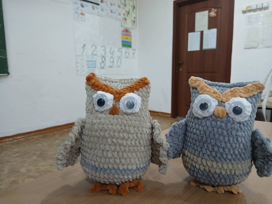 «Совы зачарованного леса».