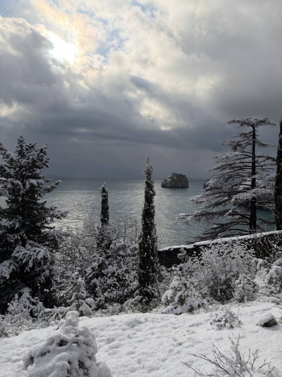 «Снежное путешествие»
