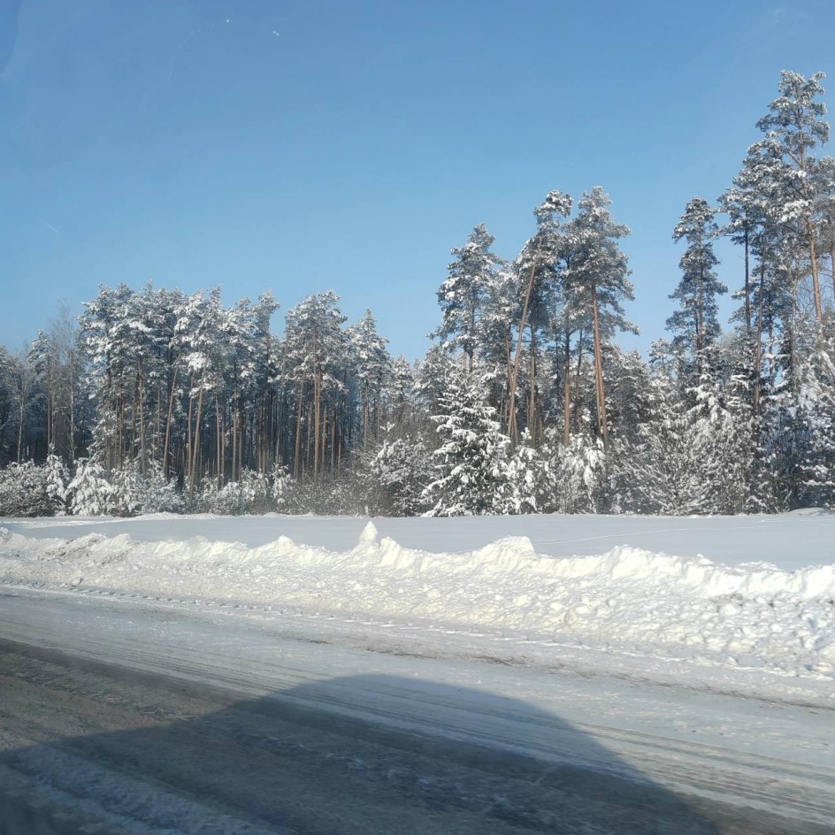 По дороге домой