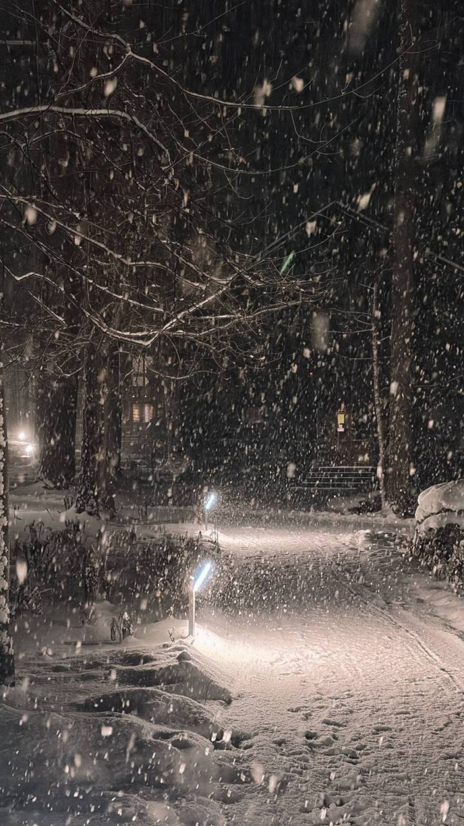 Зимний фестиваль красок