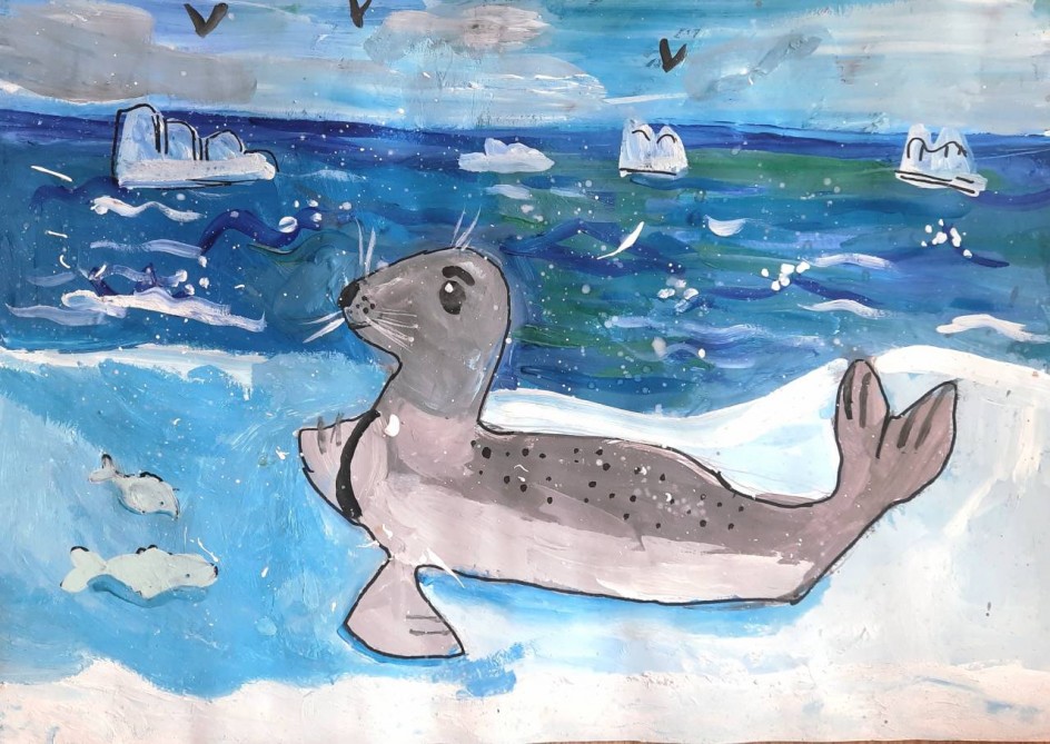 Морской котик.