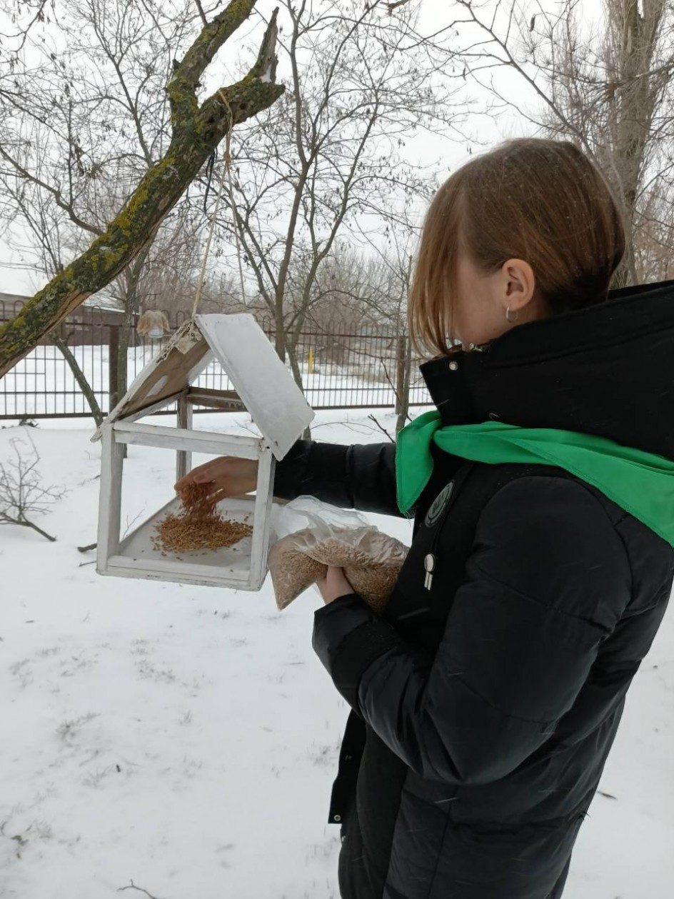 " Покормите птиц зимой"