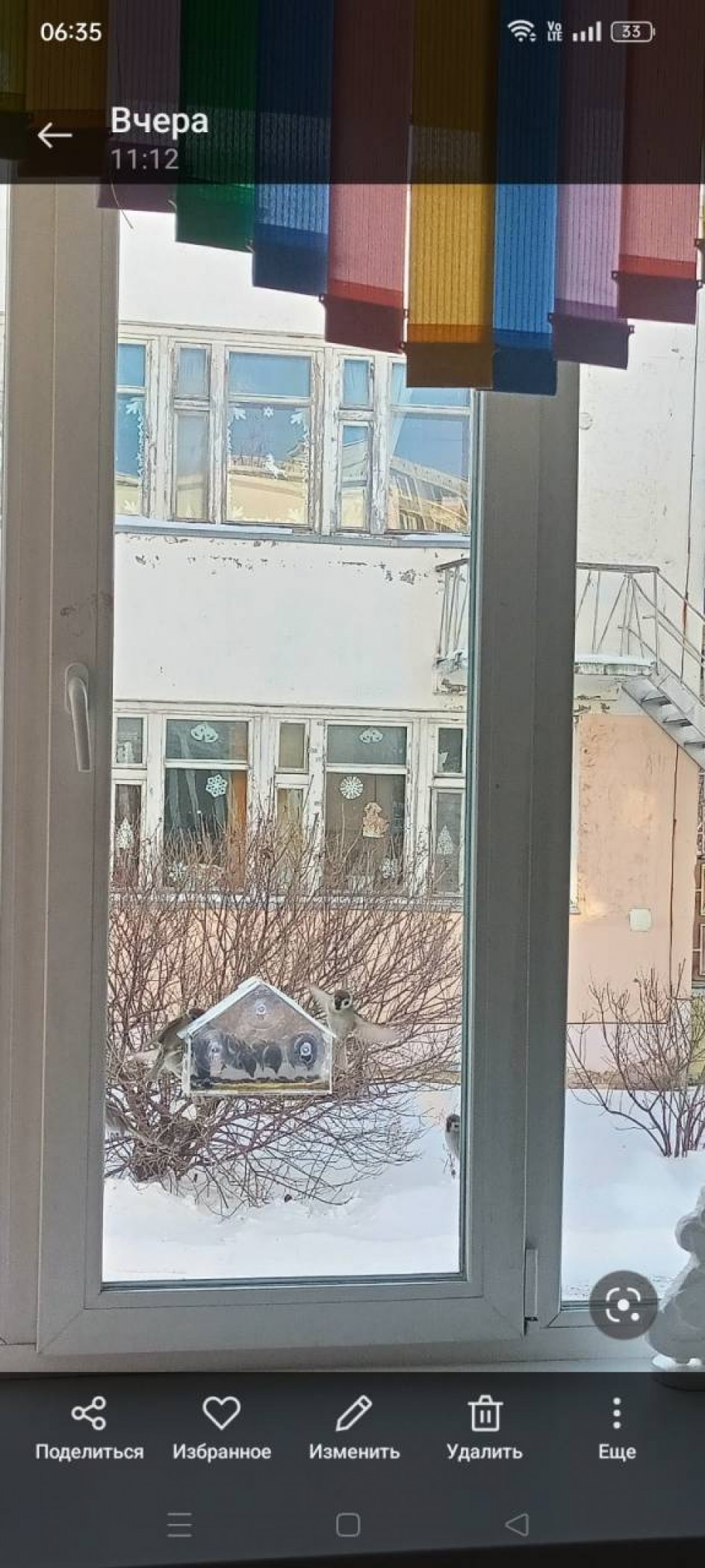 Птичья столовая