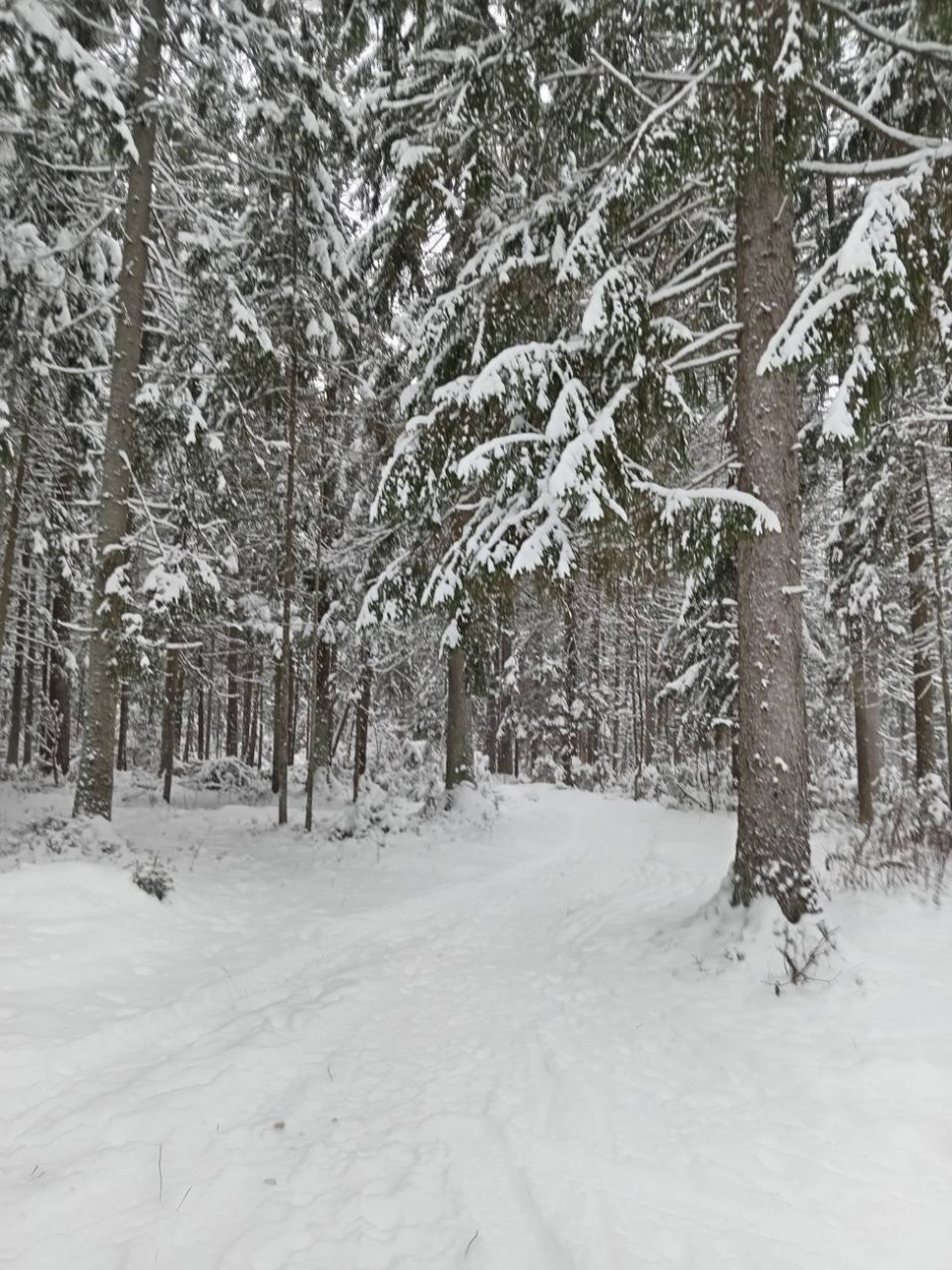 Зимняя дорога в сказку