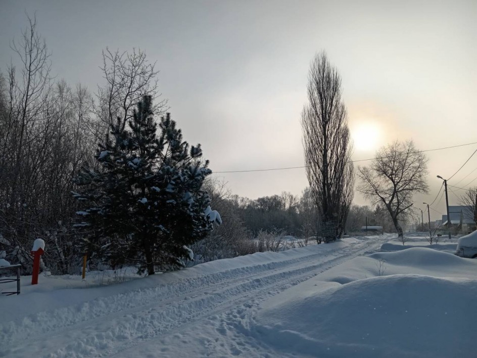 Зимний восторг