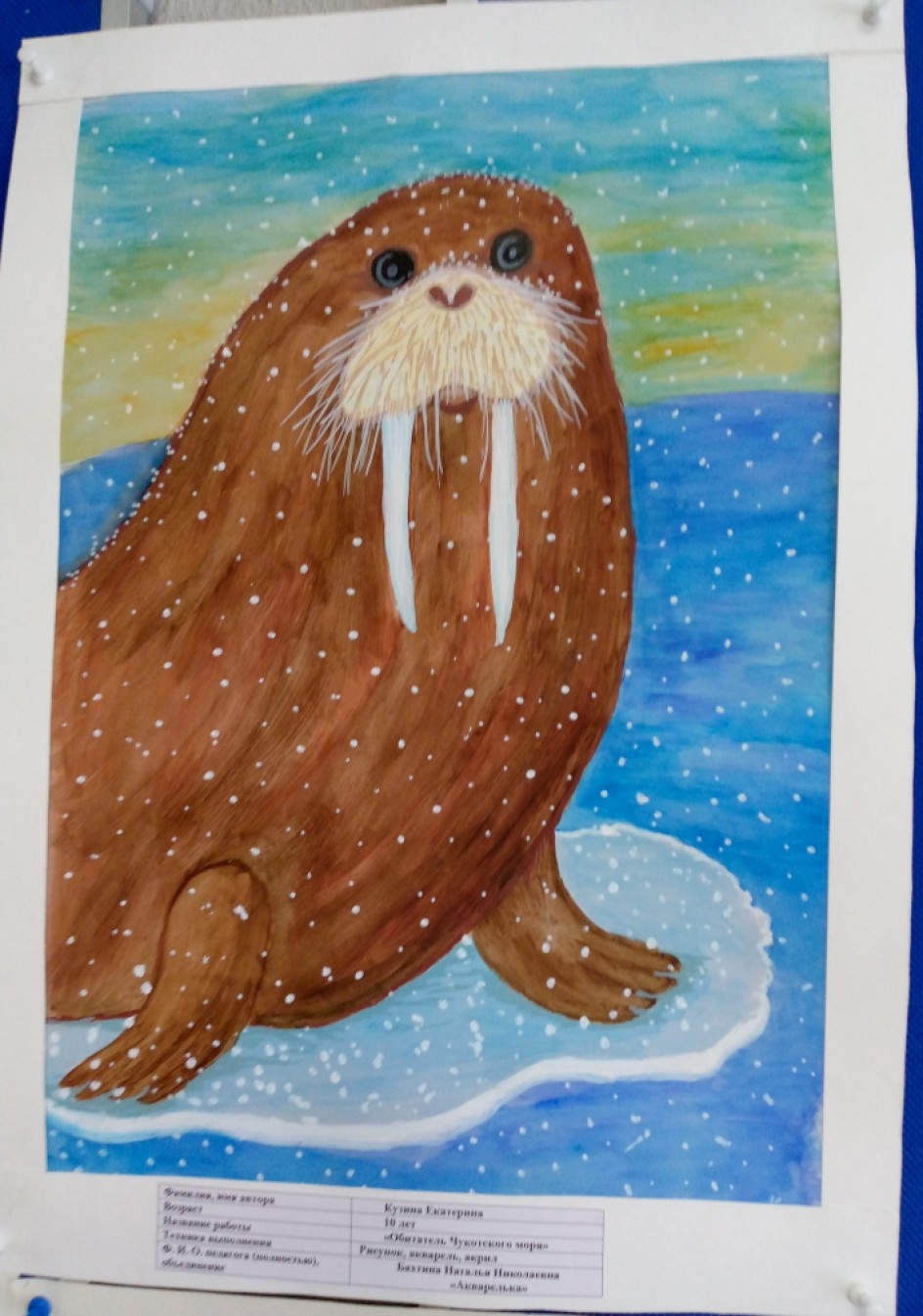 "Обитатель Чукотского моря"