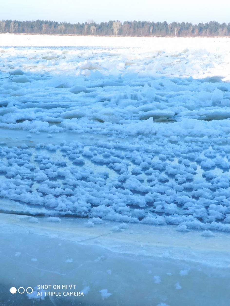 "Зимняя сказка"