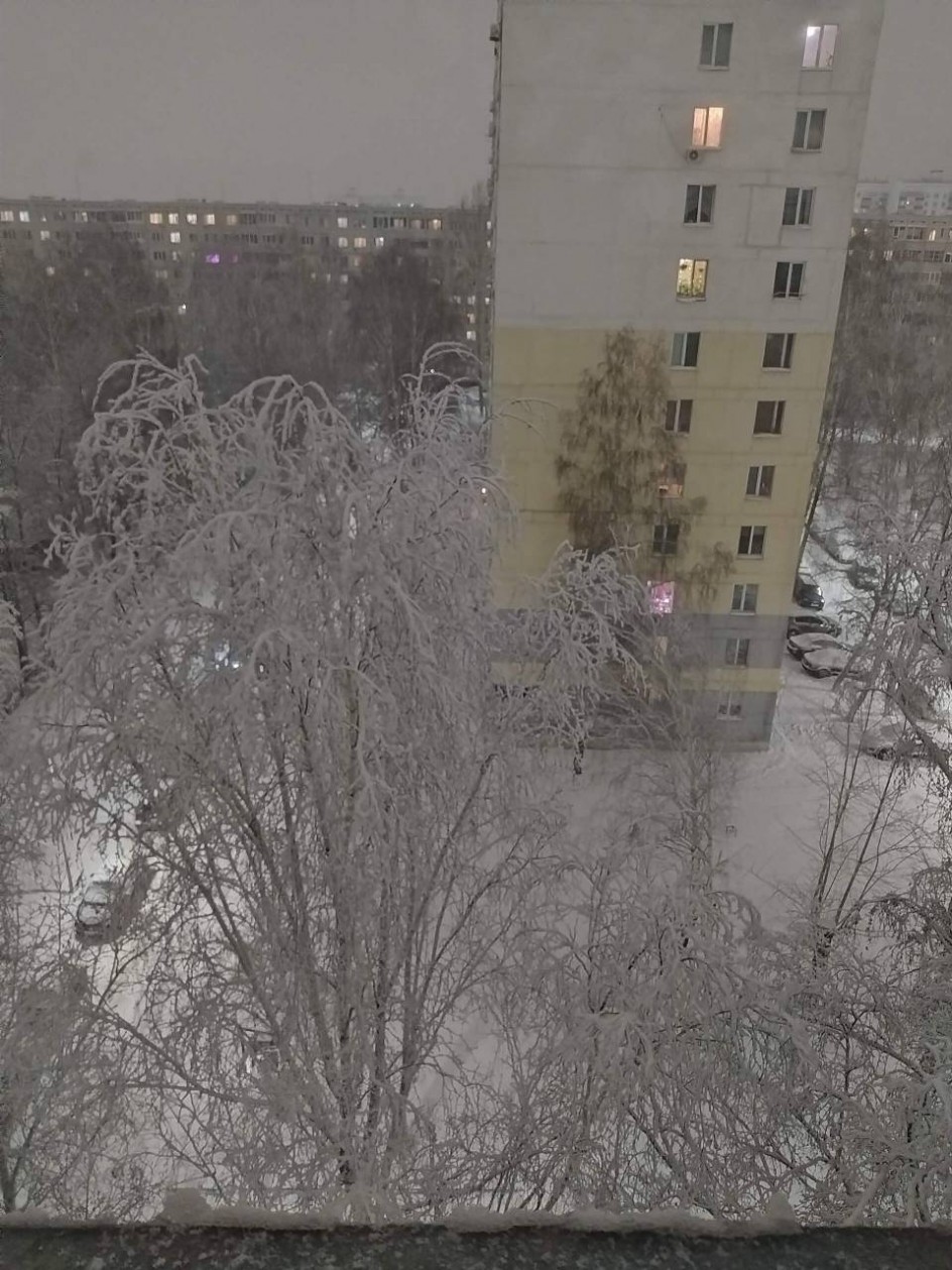 "Снежная симфония"