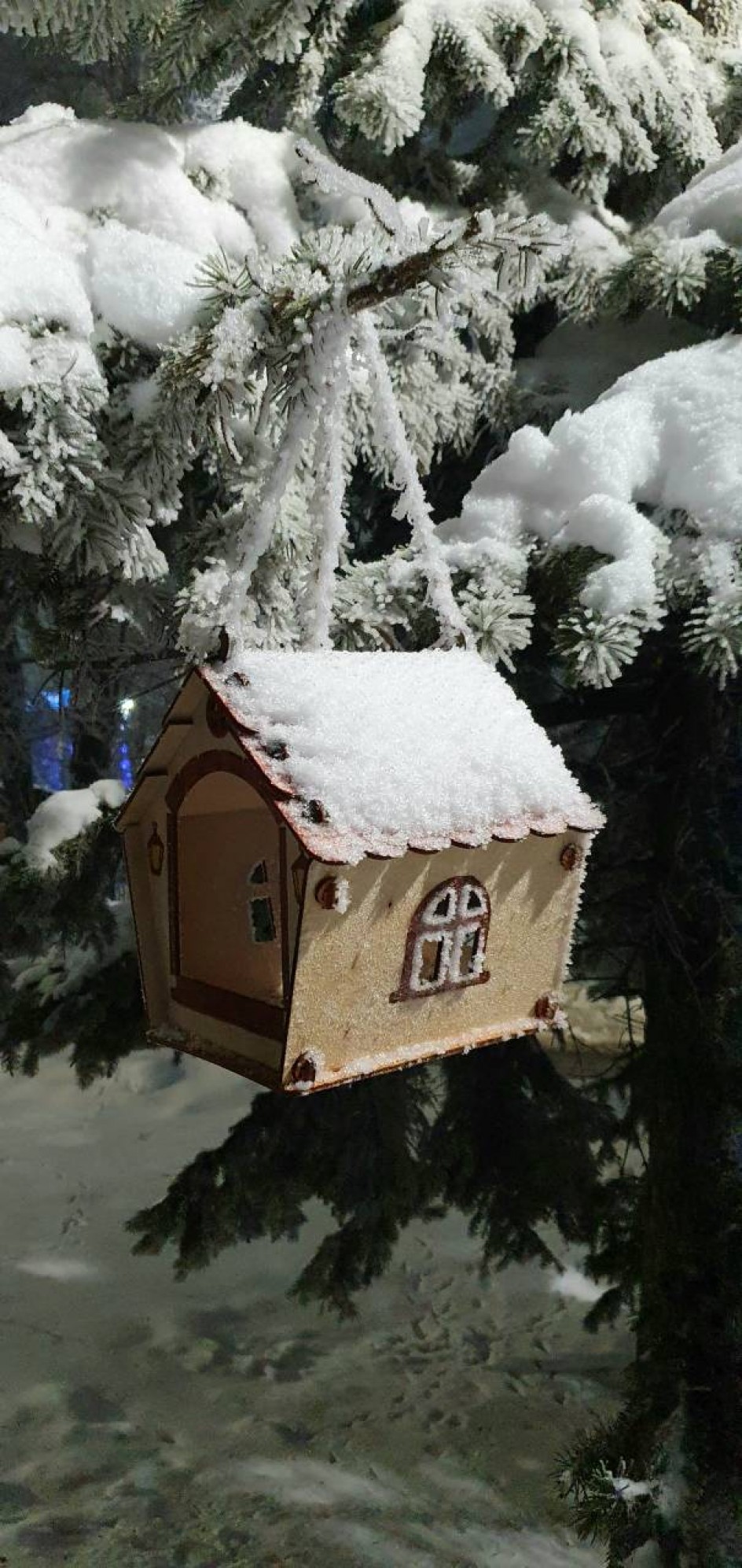 "Морозные узоры"