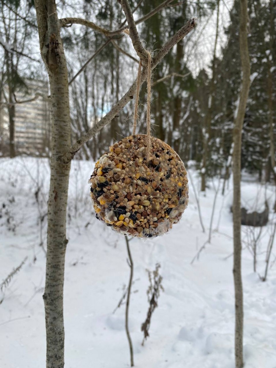 Эко кормушка