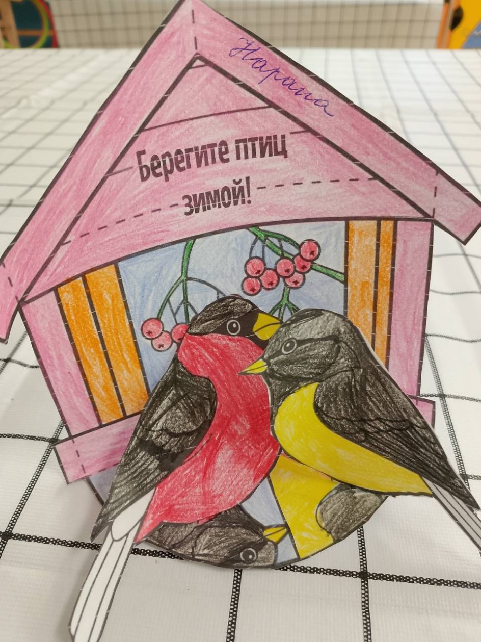 Берегите птиц зимой!