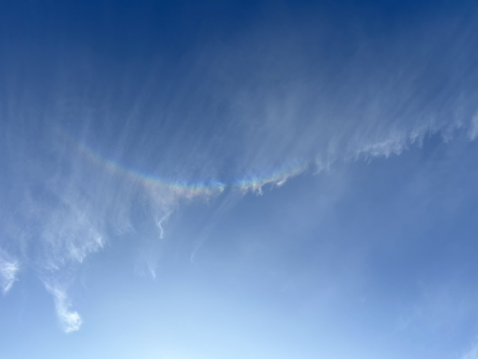 "Зимнее созвездие"