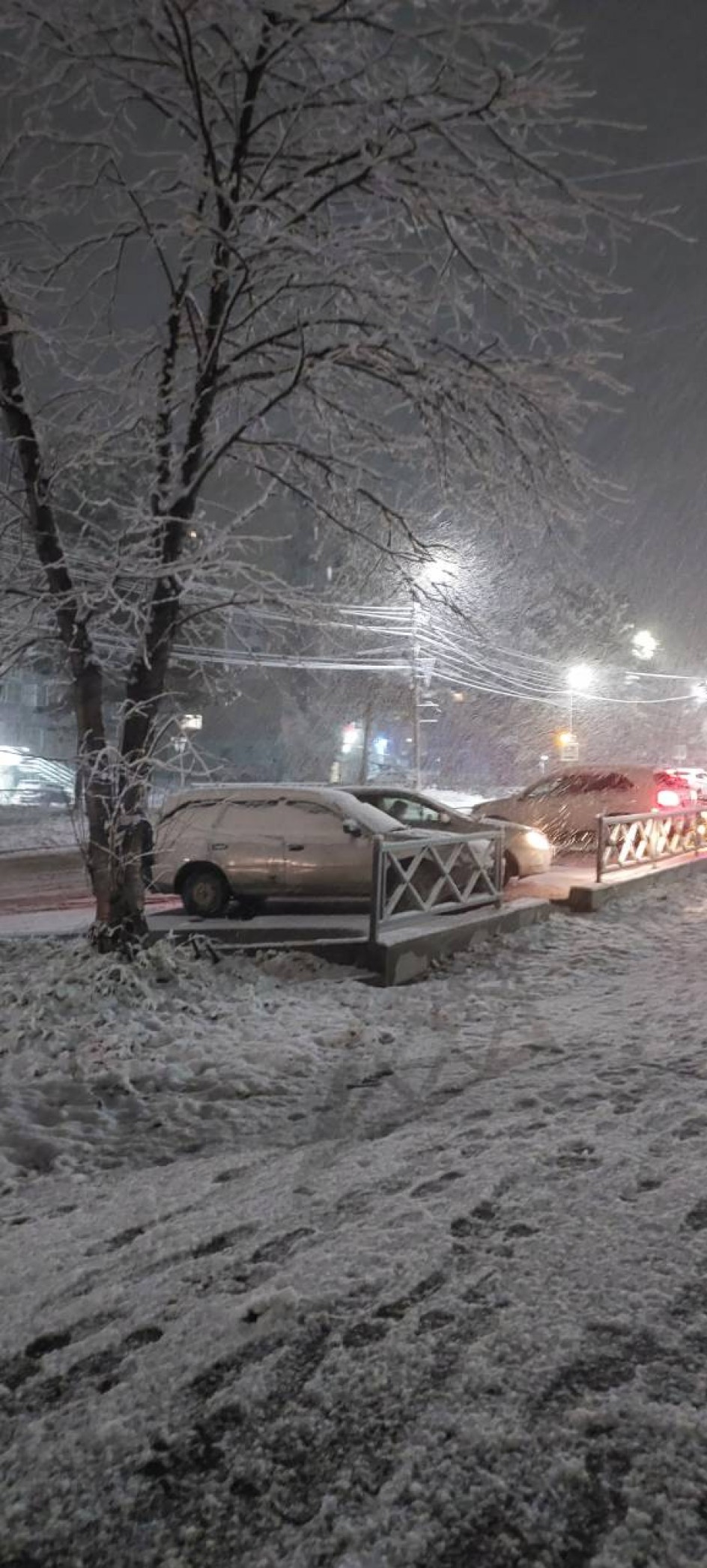 Начало зимы