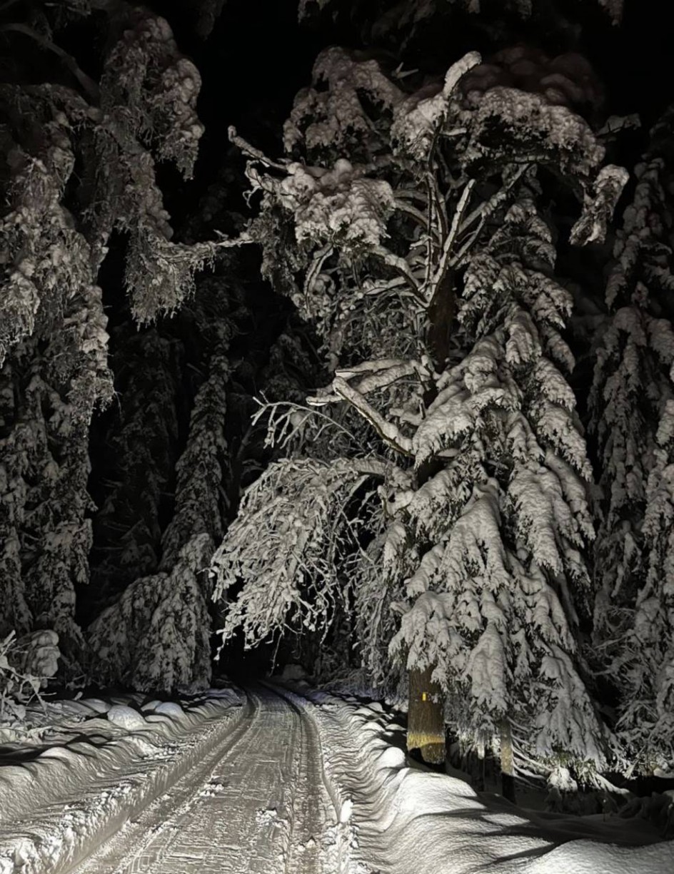 Зимняя сказка