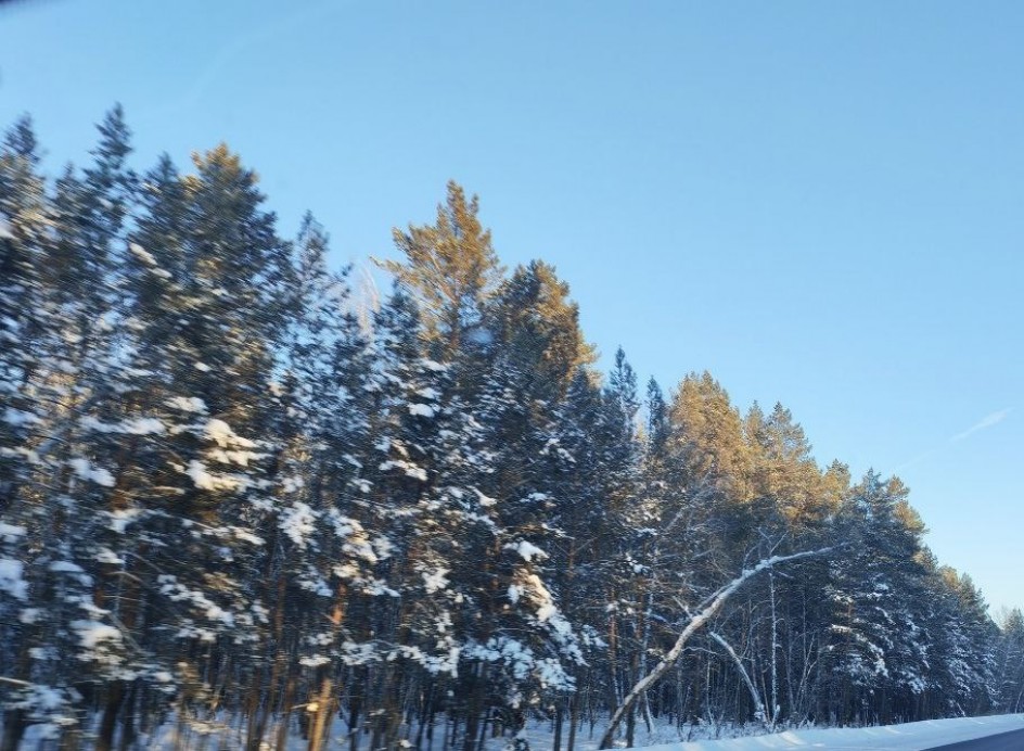 Дыхание зимы