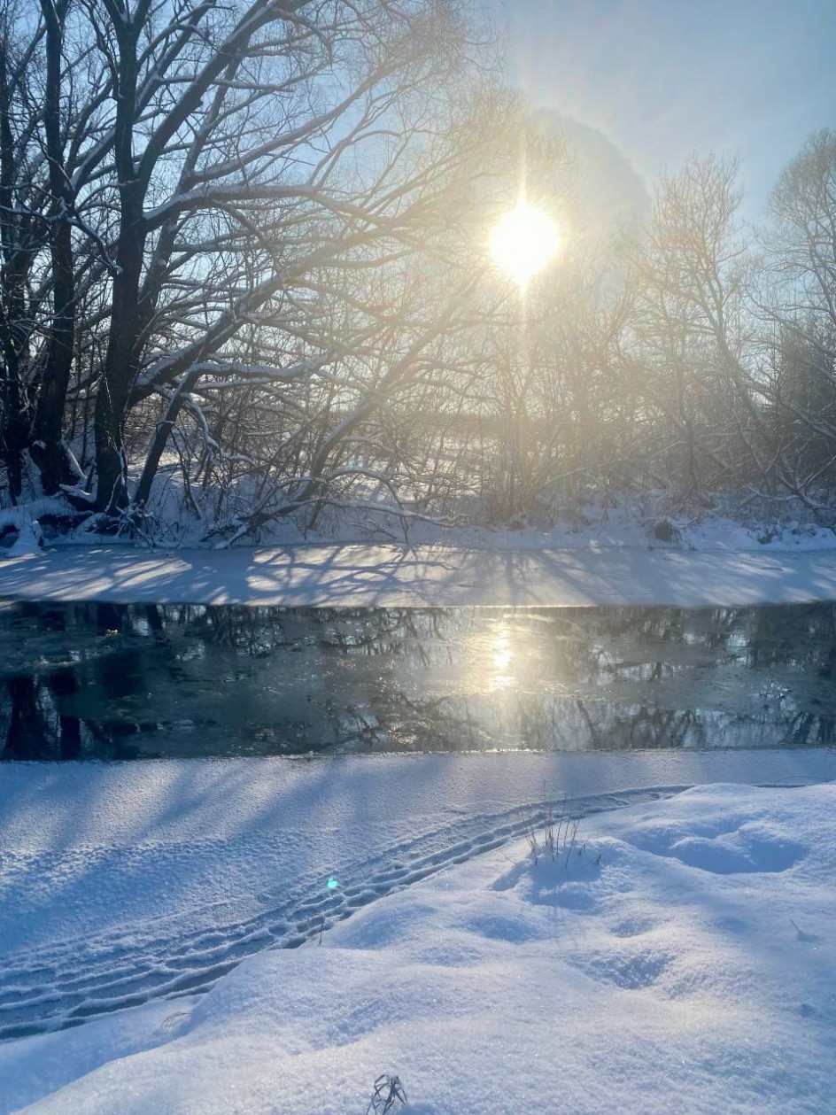 "Мороз и солнце!"