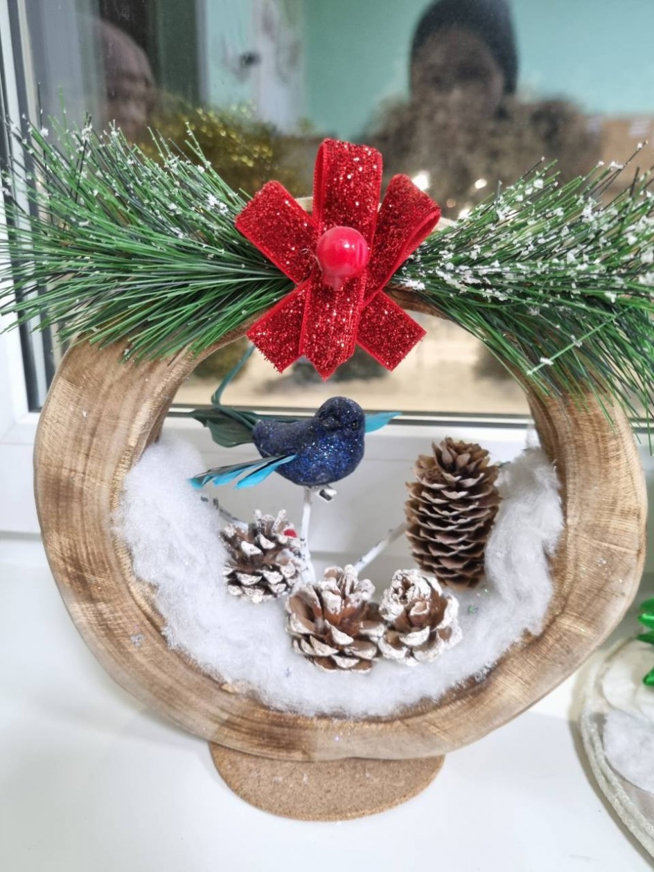 Зимняя гостья