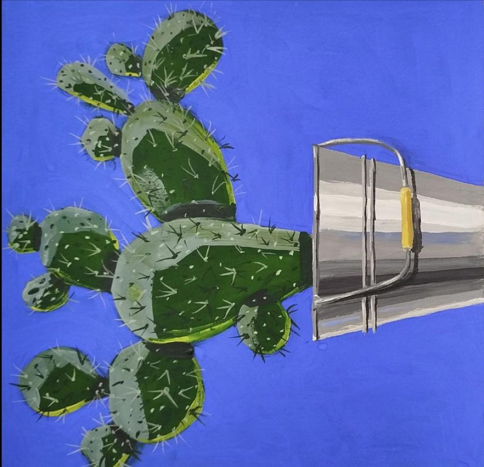 Моё комнатное растение