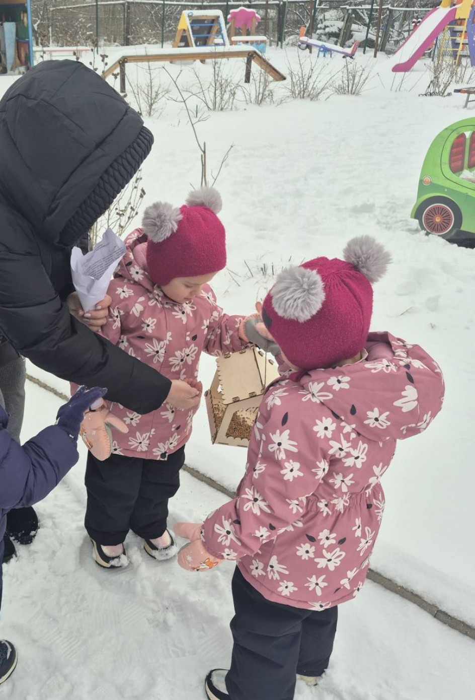 Птичкам будем помогать, нашу зиму зимовать