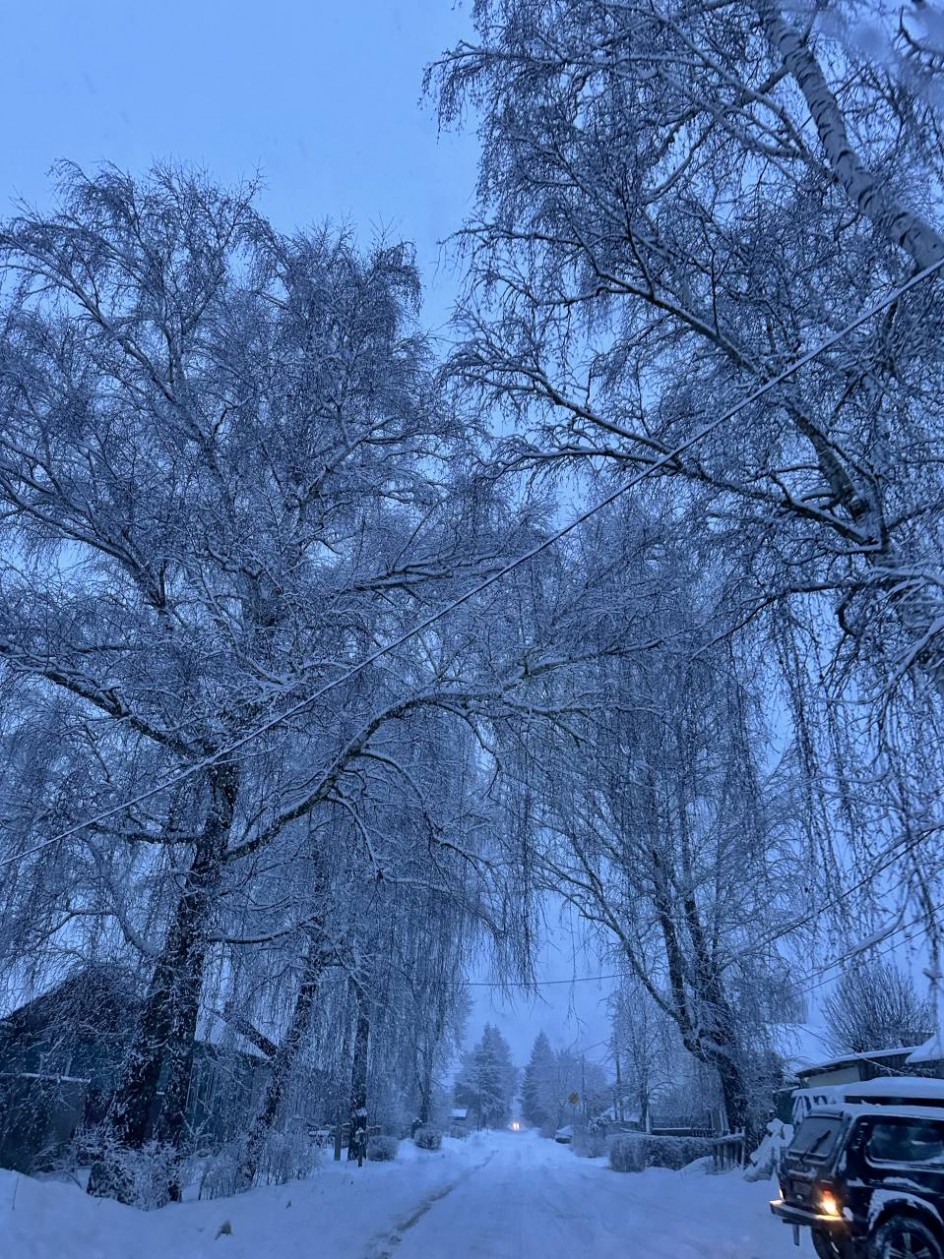 Снежная зима