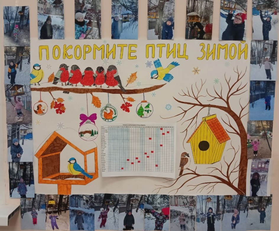 Покормите птиц зимой