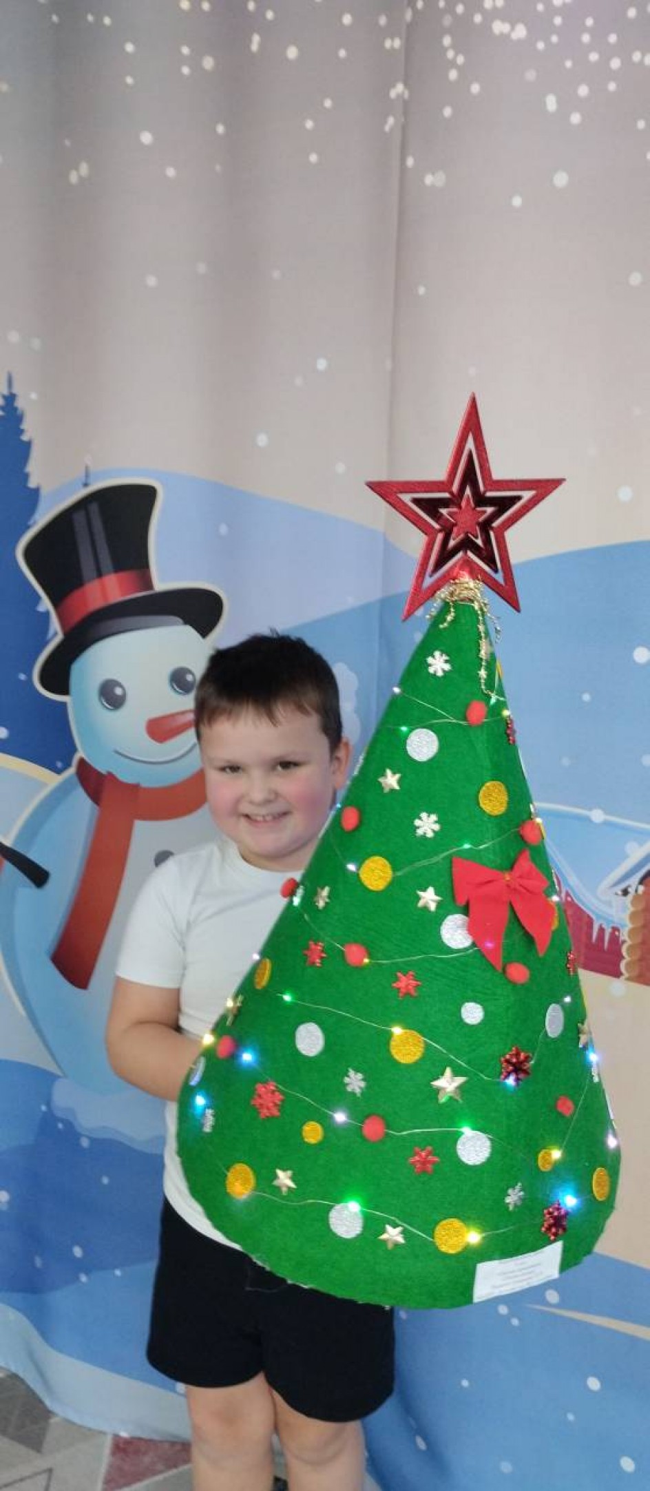 "Новогодняя красавица"