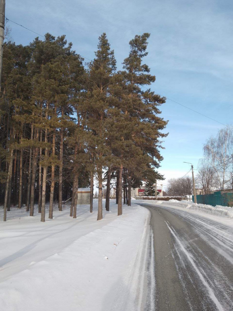 Зимняя прогулка