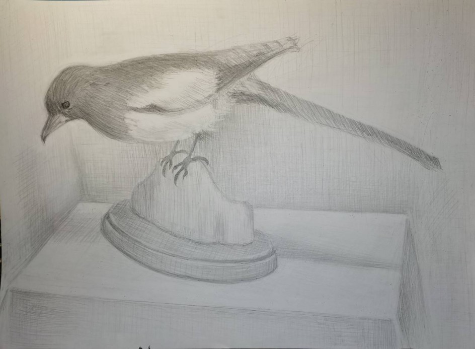 "Тональный рисунок чучела птицы"