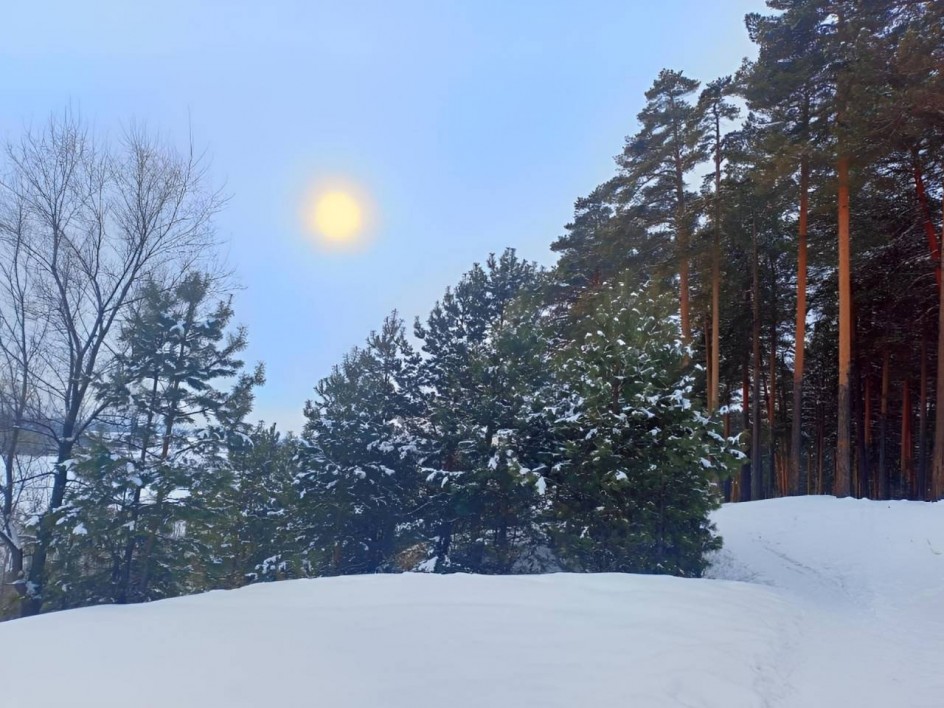 "Зимнее солнце"
