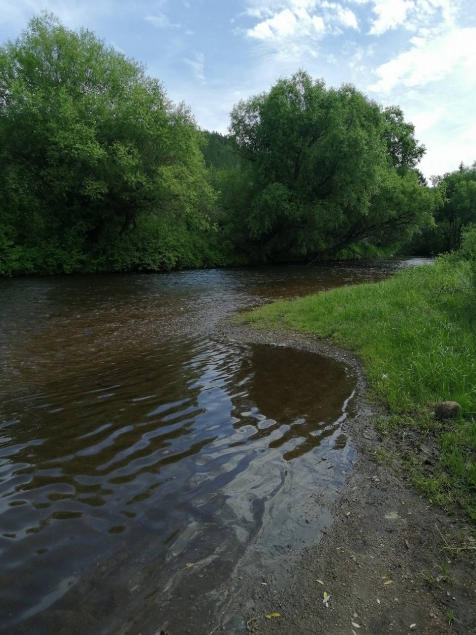 Воспитатель детей дошкольного возраста с доп. подготовкой в области речевого развития и логопедагогики.